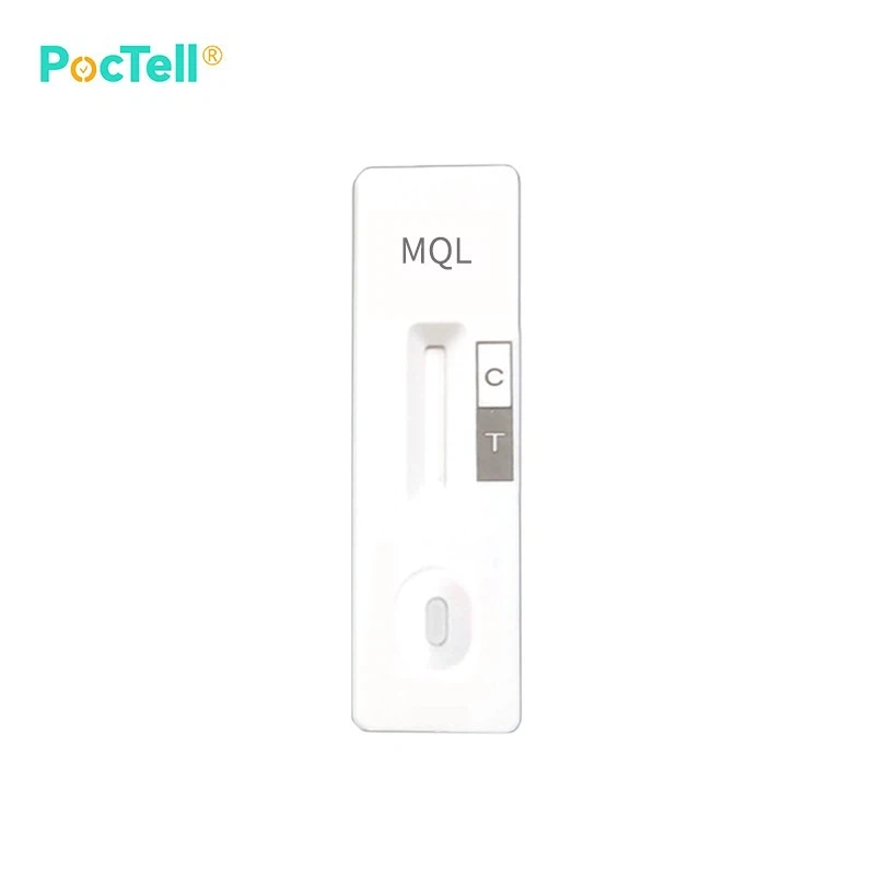 mql-rapid-test20250618043551d8d5d